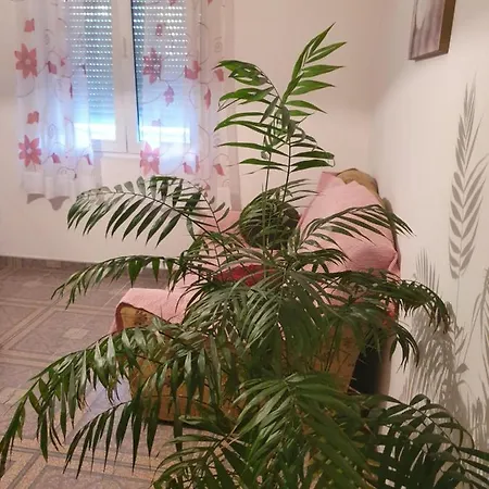 Апартаменты Apartman Garten